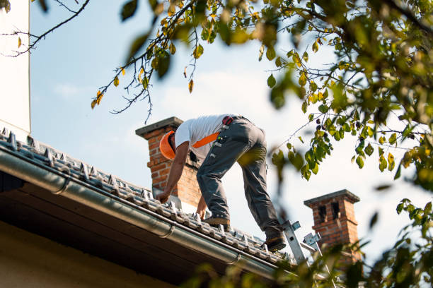 Best Residential Roofing Contractor  in Lisbon, ND
