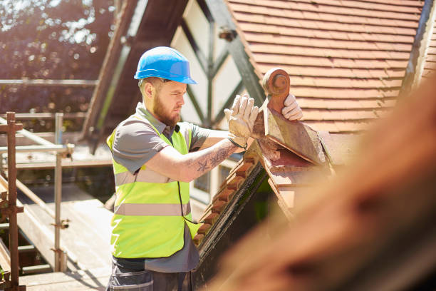 Best Roof Maintenance Services  in Lisbon, ND